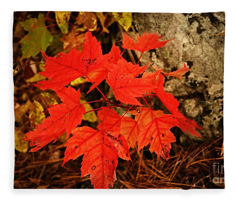 Landscape Fleece Blanket featuring the photograph Splash of Autumn by Larry Ricker