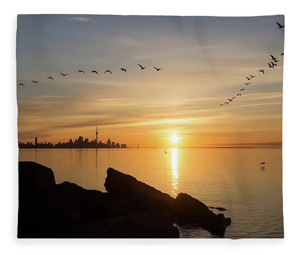 Splendid Sunrise Fleece Blanket featuring the photograph Splendid Sunrise with Birds - Toronto Skyline with Free Flying Cormorants by Georgia Mizuleva