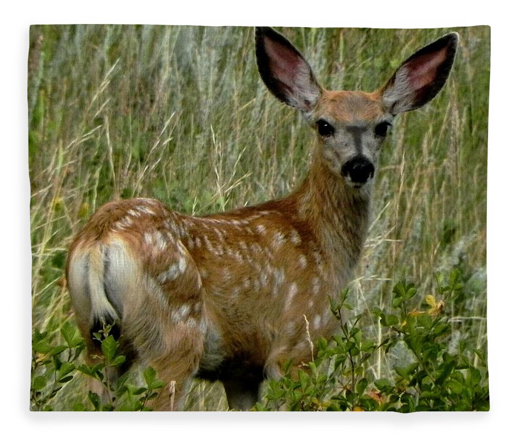 Mule Deer Fleece Blanket featuring the photograph Spots and Ears by Amanda R Wright