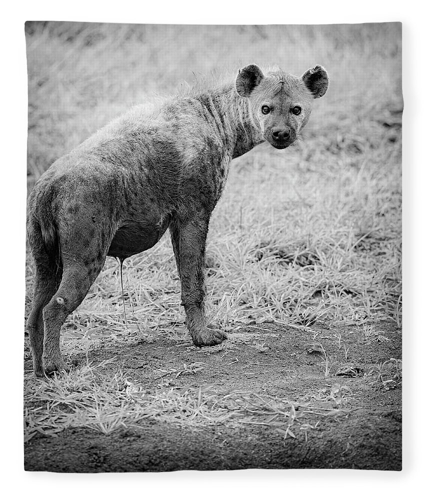 Carnivores Fleece Blanket featuring the photograph Spotted Hyena by Maresa Pryor-Luzier