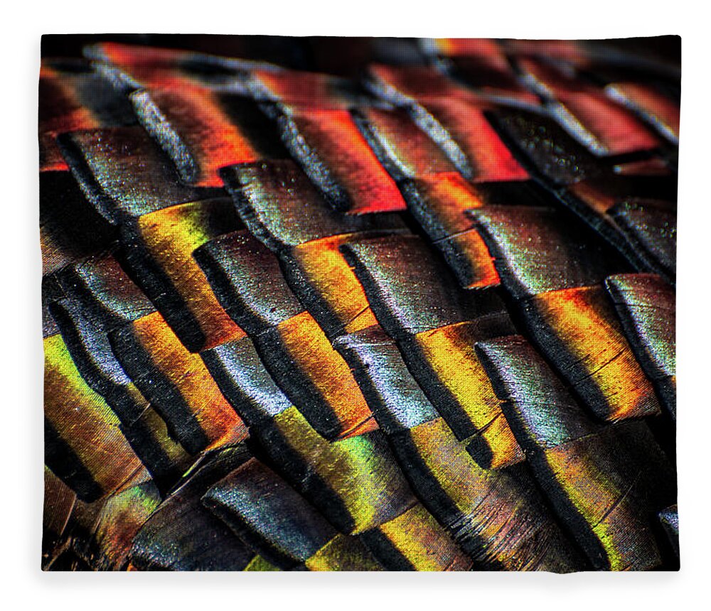 Franklin County Fleece Blanket featuring the photograph Spring Colors by Jeff Phillippi