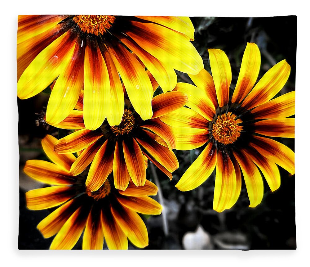 Orange Fleece Blanket featuring the photograph Spring Flowers by Dave Zumsteg