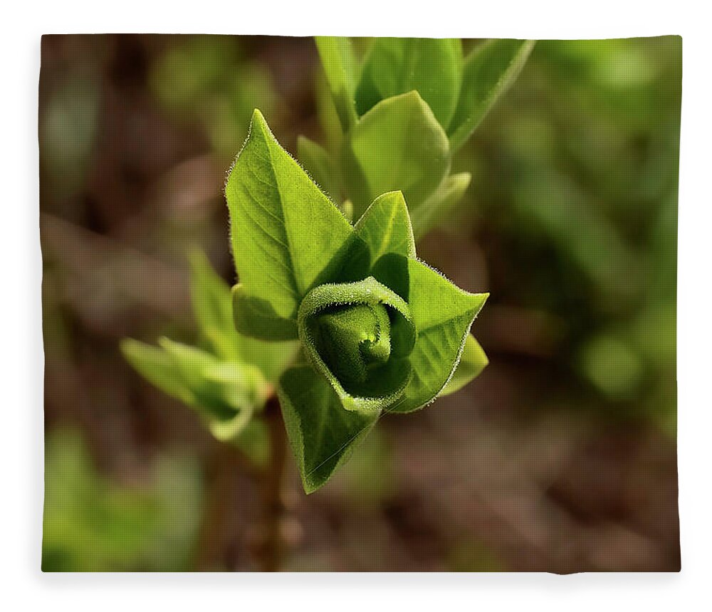 Spring Fleece Blanket featuring the photograph Spring foliage. by Sergei Fomichev