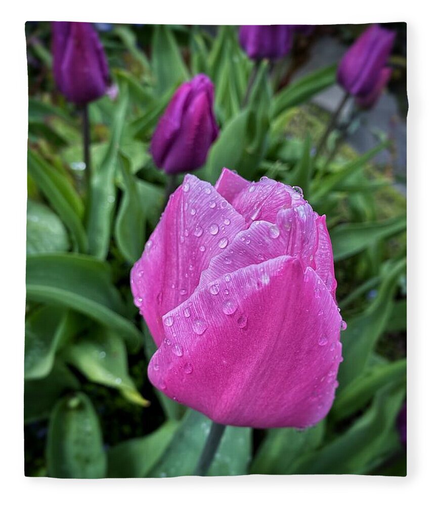 Pink Fleece Blanket featuring the photograph Spring Raindrops on Pink Tulips by Jerry Abbott