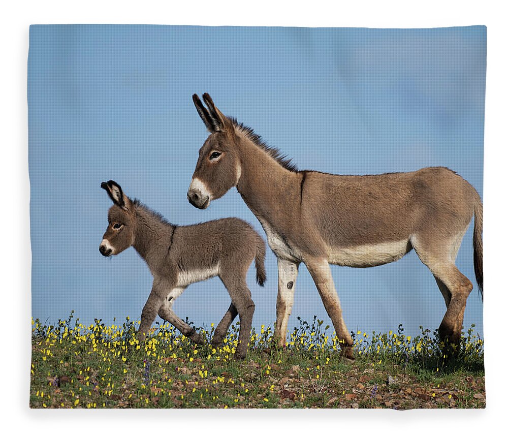 Wild Burros Fleece Blanket featuring the photograph Spring Saunter by Mary Hone