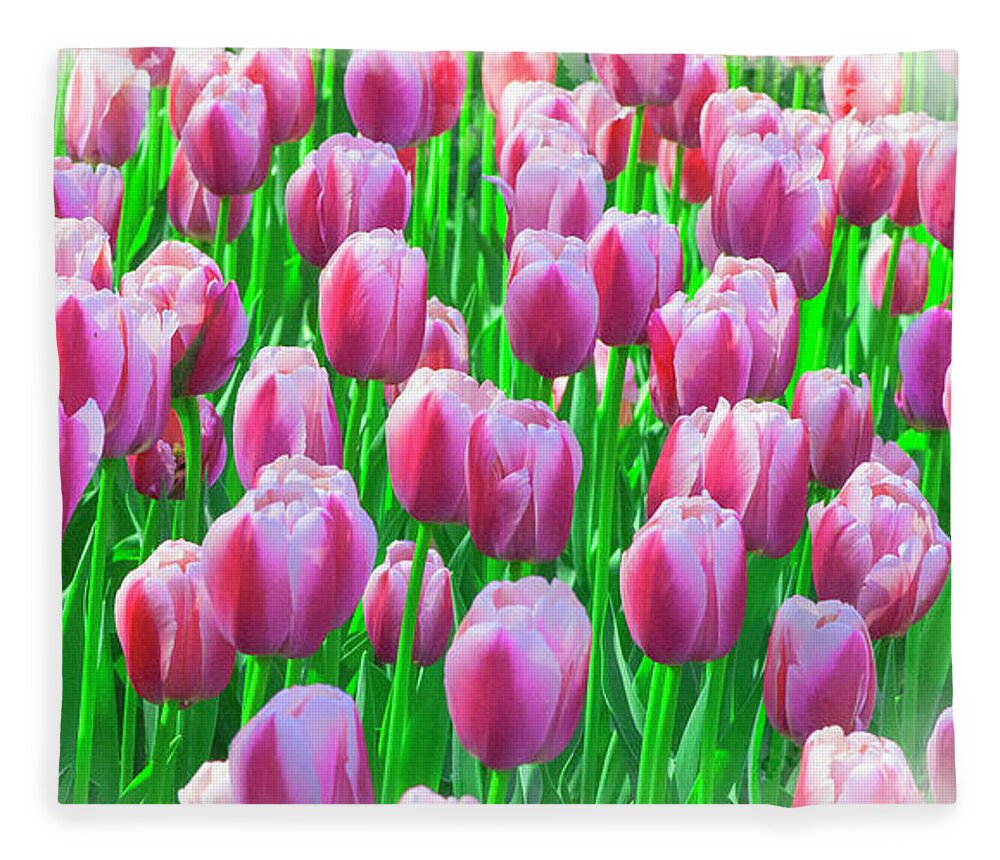 Easter Fleece Blanket featuring the mixed media Spring Tulips by Moira Law