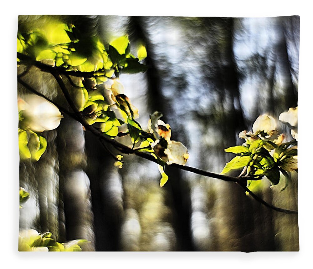 Impression Fleece Blanket featuring the photograph Dogwood Blossoms by a Forest - A Springtime Impression by Steve Ember