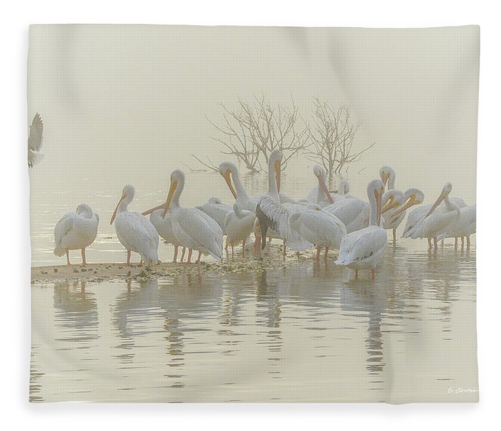 White Fleece Blanket featuring the photograph Squadron in the Fog by Christopher Rice