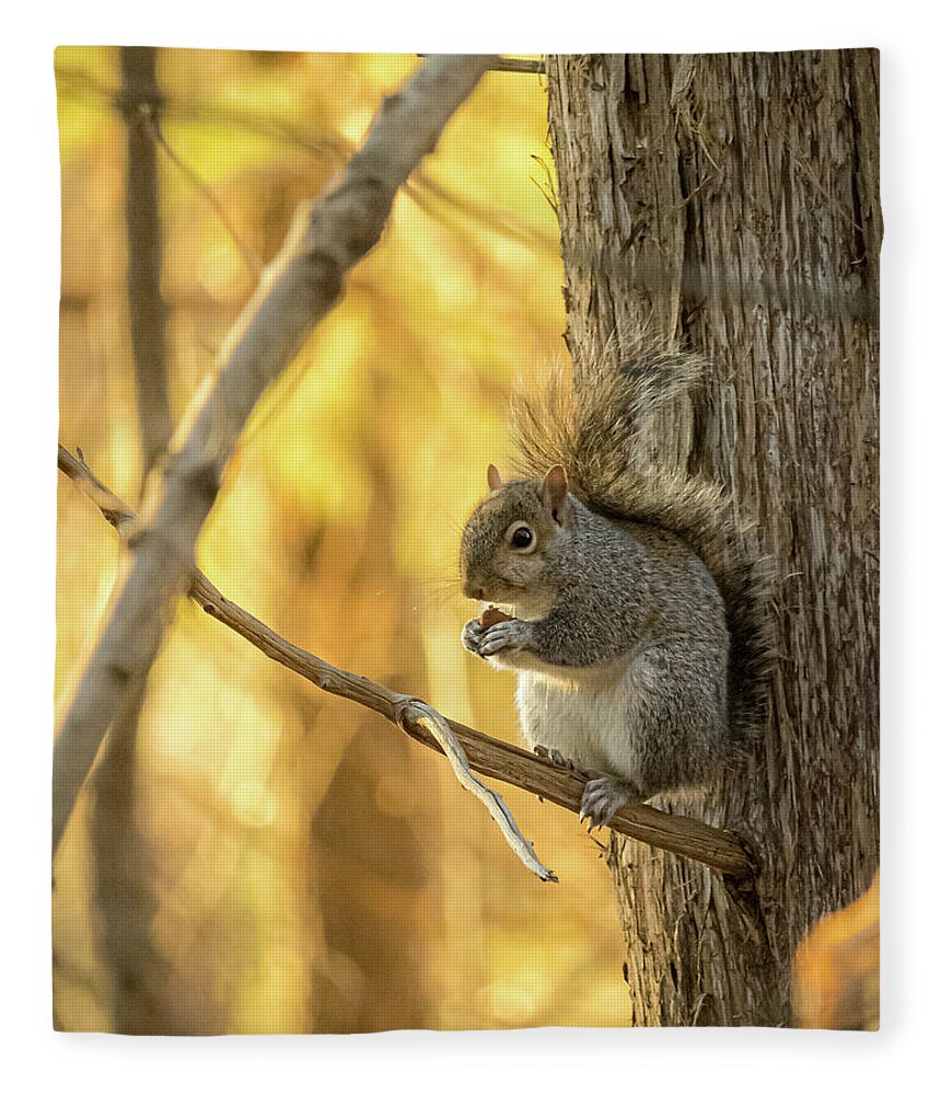 Nature Fleece Blanket featuring the photograph Squirrel Lunch by Rick Nelson