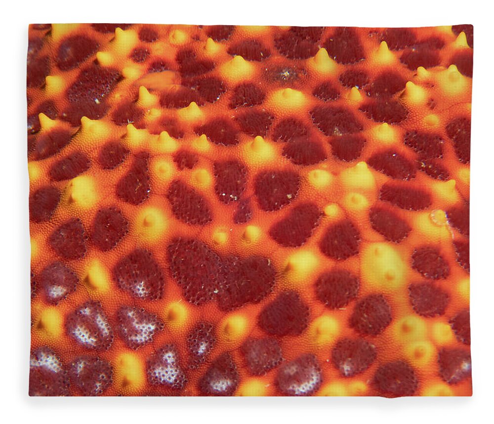 Sea Star Fleece Blanket featuring the photograph Starfish skin by Brian Weber