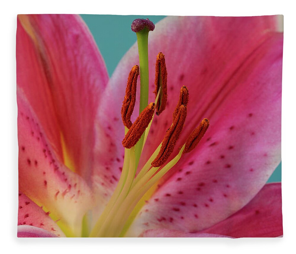Lily Fleece Blanket featuring the photograph Stargazer Lily by Tina Horne
