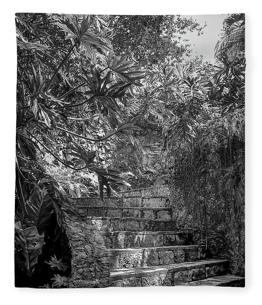 Chichen Itza Fleece Blanket featuring the photograph Steps Near Cenote Chichen Itza by Frank Mari
