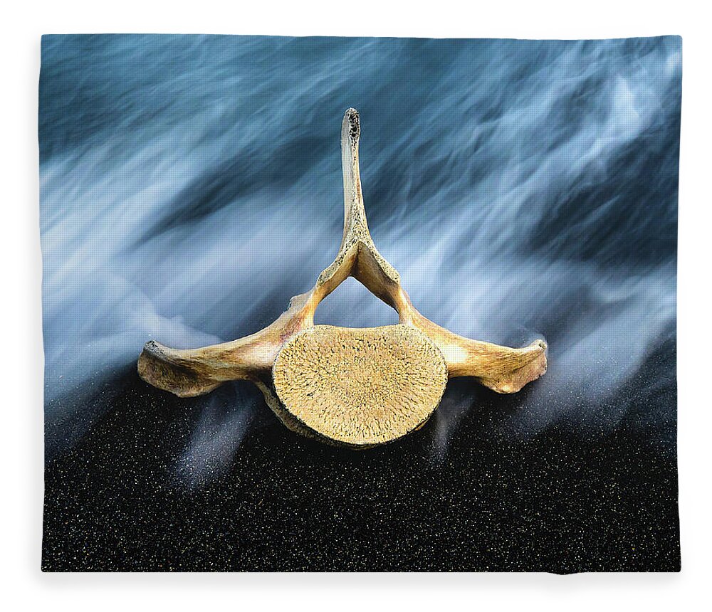 Atlantic Ocean Fleece Blanket featuring the photograph Still Life, Land and Sea by Dee Potter