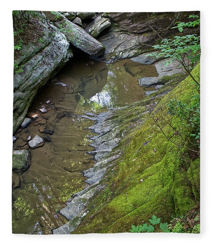 Paine Creek Fleece Blanket featuring the photograph Still Water Reflections by Phil Perkins