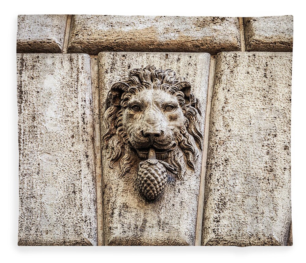 Rome Fleece Blanket featuring the photograph Stone lion head in Rome, Italy by Fabiano Di Paolo