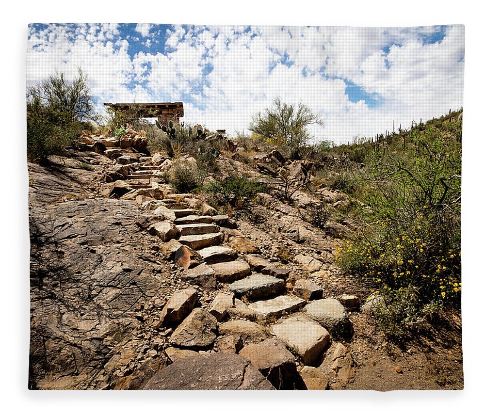 Canyon Fleece Blanket featuring the photograph Stone stairs to desert picnic oasis by Craig A Walker