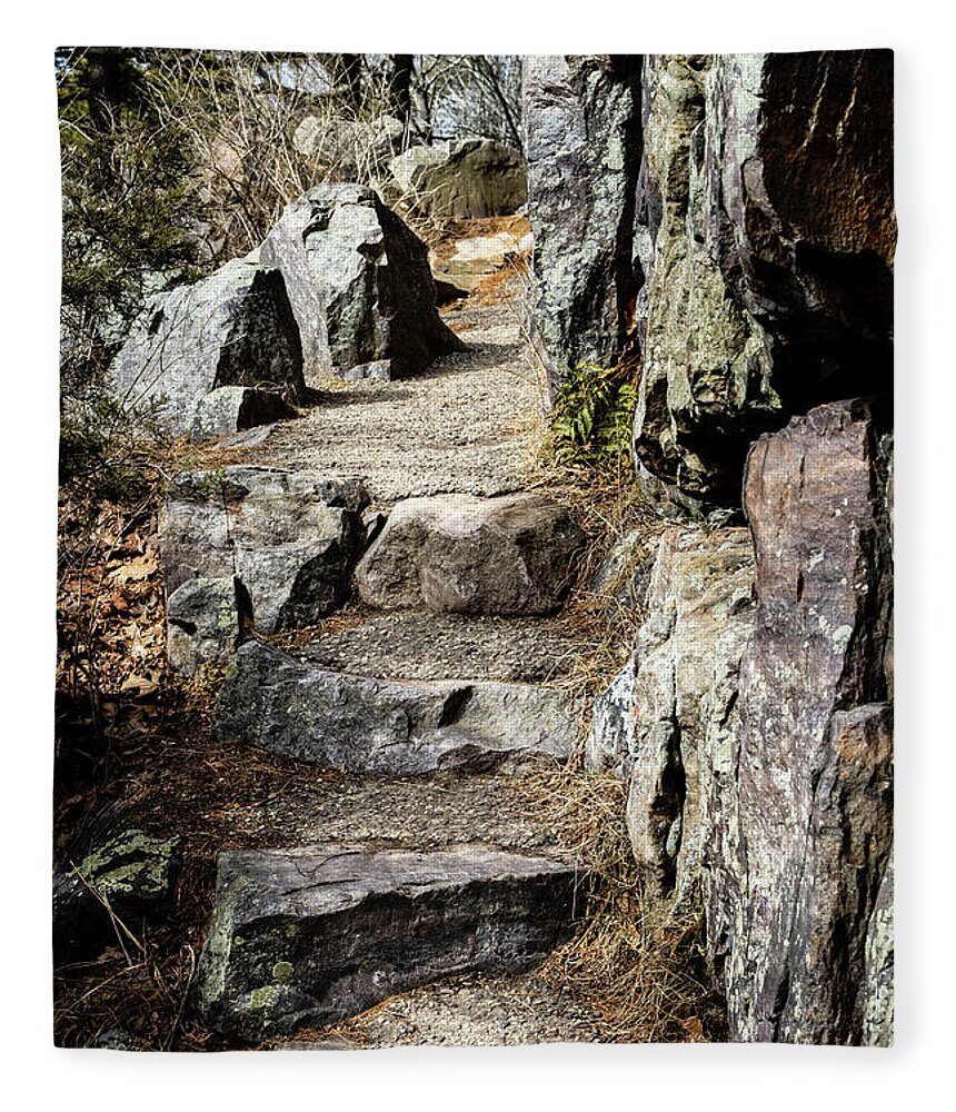 Trail Fleece Blanket featuring the photograph Stone Steps on Trail by Craig A Walker