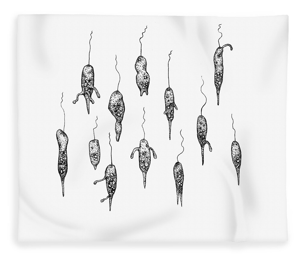 Protozoa Fleece Blanket featuring the drawing Strange flagellates by Katelyn Solbakk