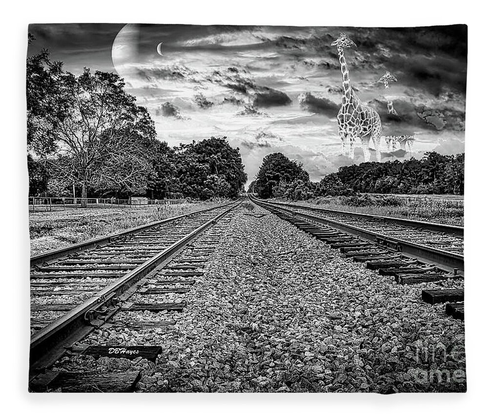 Black & Whites Fleece Blanket featuring the photograph Strange World In Black And White by DB Hayes