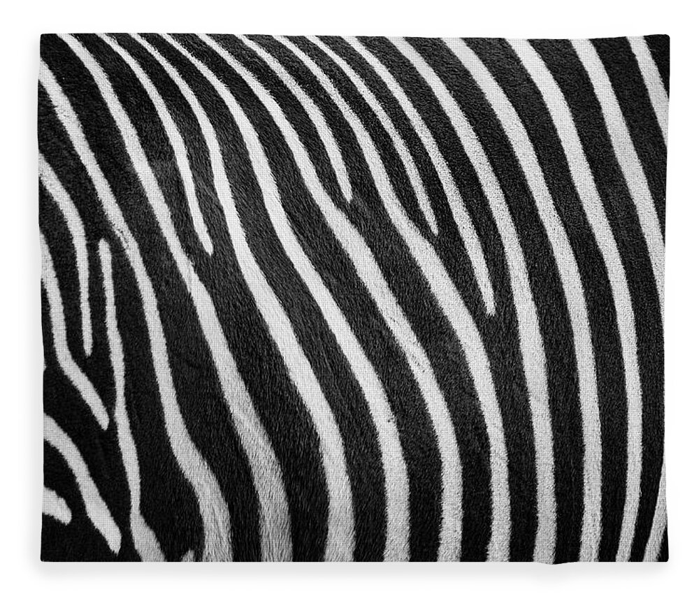 Zoo Boise Fleece Blanket featuring the photograph Stripes by Melissa Southern