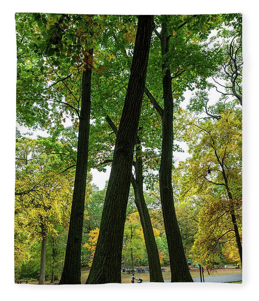 Autumn Fleece Blanket featuring the photograph Strolling Through the Park by Kevin Suttlehan