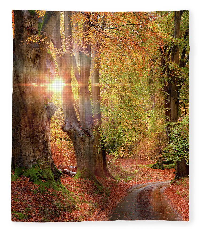 Autumn Fleece Blanket featuring the photograph Stunning autumn forest road at sunrise in Norfolk by Simon Bratt