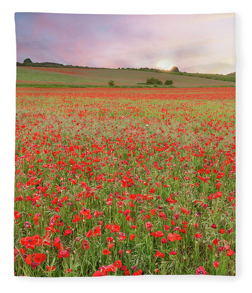 Norfolk Fleece Blanket featuring the photograph Norfolk poppy fields at sunrise in England by Simon Bratt