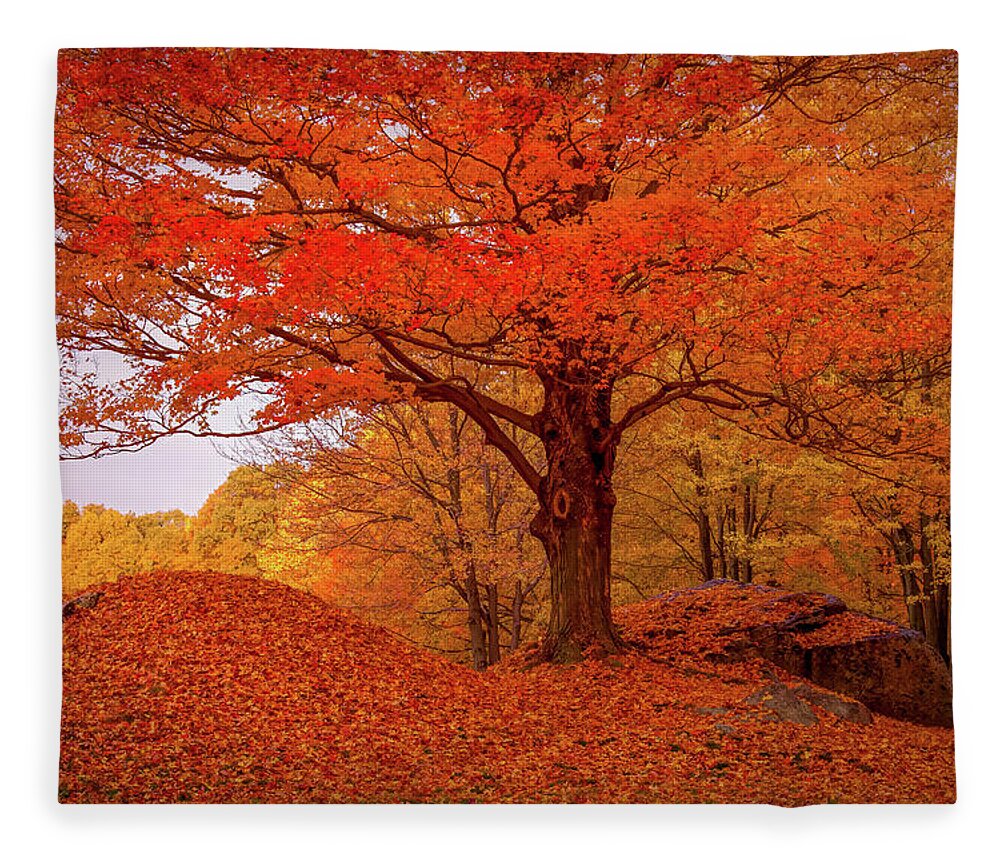 Peabody Massachusetts Fleece Blanket featuring the photograph Sturdy Maple in Autumn Orange by Jeff Folger
