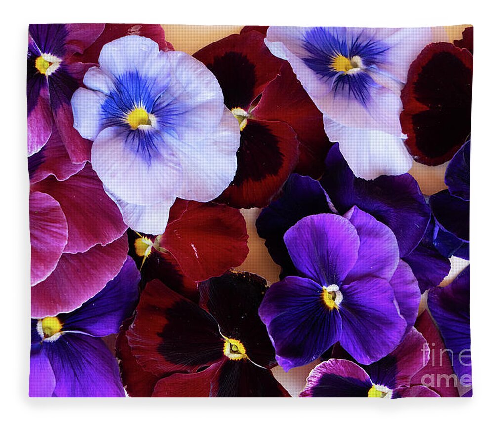 Wildflower Fleece Blanket featuring the photograph Styled Pansies by Anastasy Yarmolovich