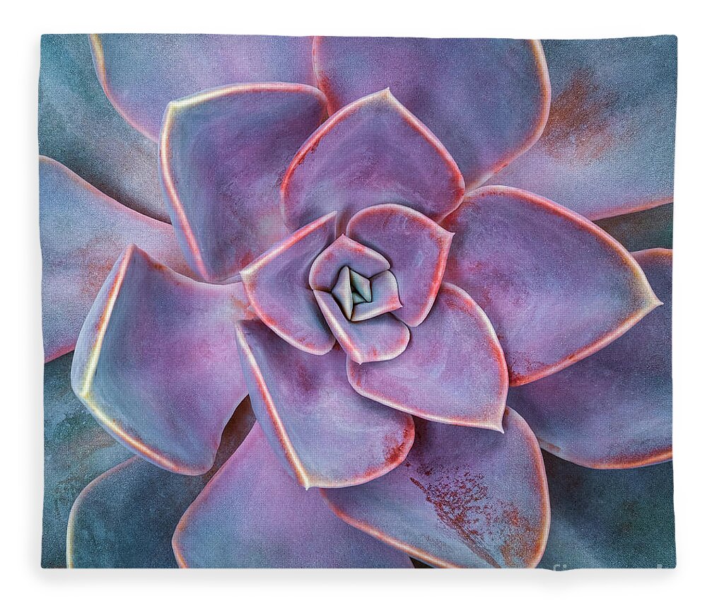 Very Peri Wall Art Fleece Blanket featuring the photograph Succulent Detail Botanical Wall Art PL10400 by Mark Graf