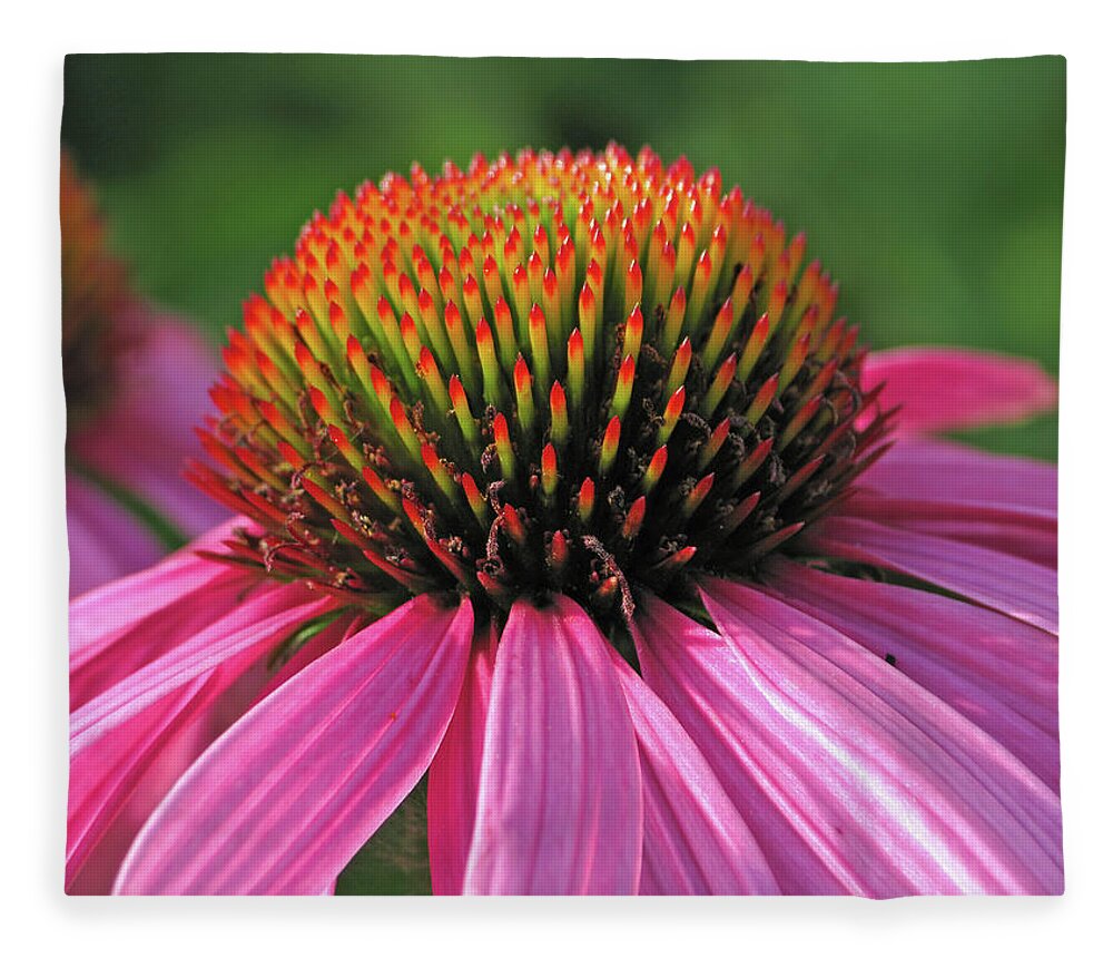 Summer Fleece Blanket featuring the photograph Summer Beauty by Lens Art Photography By Larry Trager