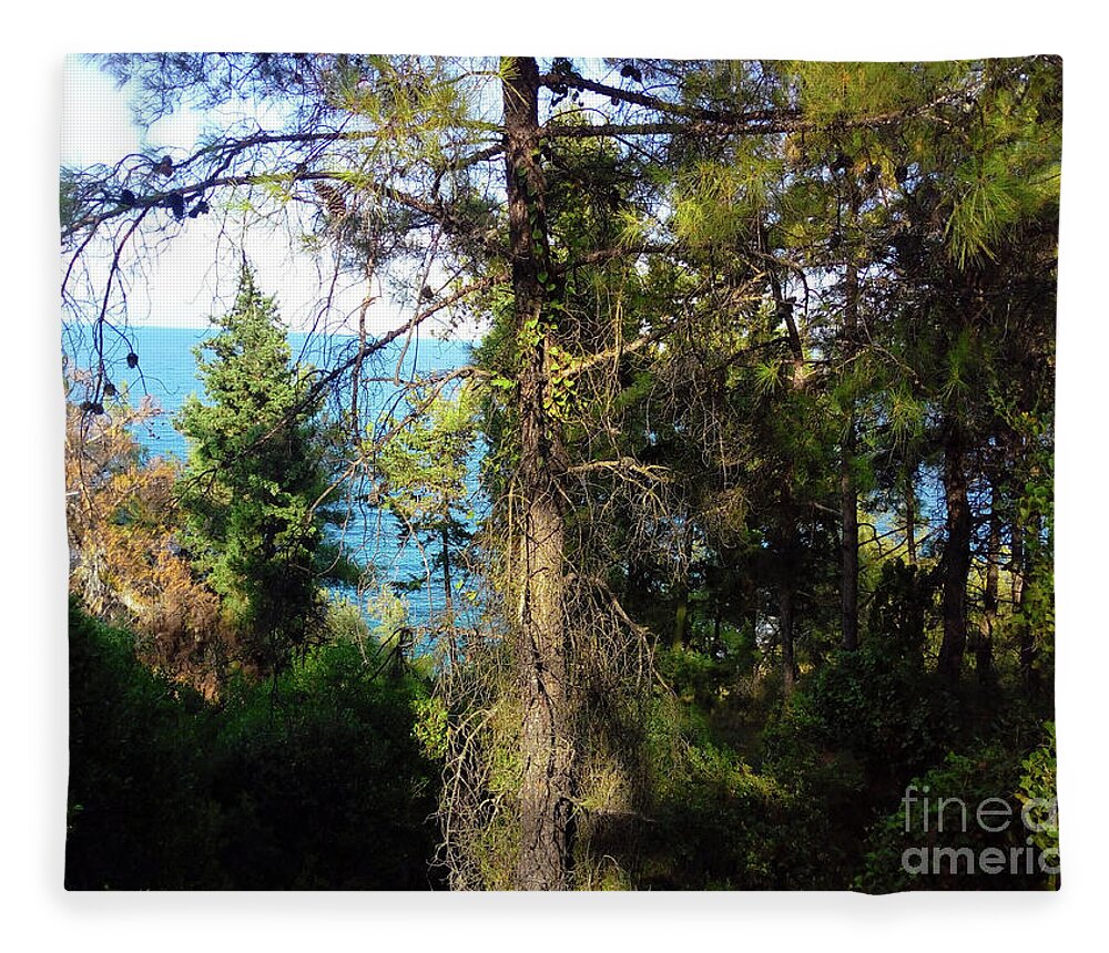 Nature Fleece Blanket featuring the photograph Summer Call Of an Ocean Breeze by Leonida Arte