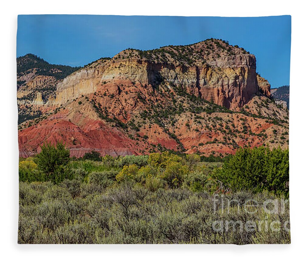 Landscape Fleece Blanket featuring the photograph Summer Greens by Seth Betterly