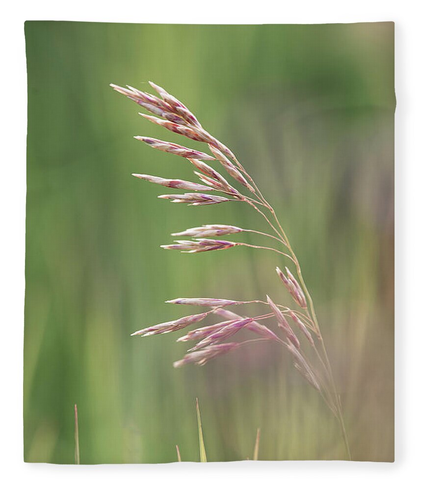 Agriculture Fleece Blanket featuring the photograph Summer hay seeds by Karen Rispin