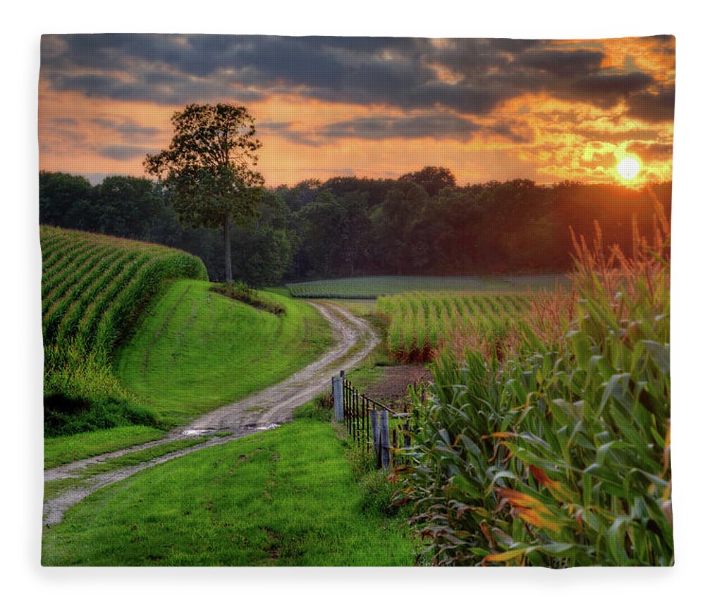 Corn Sunset Path Tree Country Scenic Landscape Clouds Rural Agriculture Wisconsin Countryside Trees Golden Green Fleece Blanket featuring the photograph Summer Serenity by Peter Herman