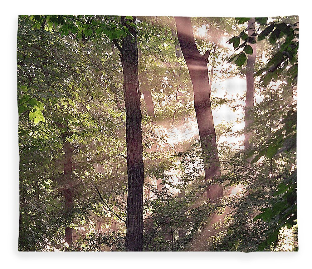 Trees Fleece Blanket featuring the digital art Sun Rays in Virginia by Nancy Olivia Hoffmann