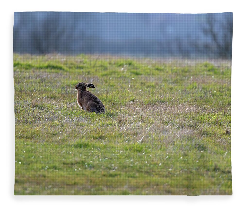 Brown Hare Fleece Blanket featuring the photograph Sun Salutation by Mark Hunter
