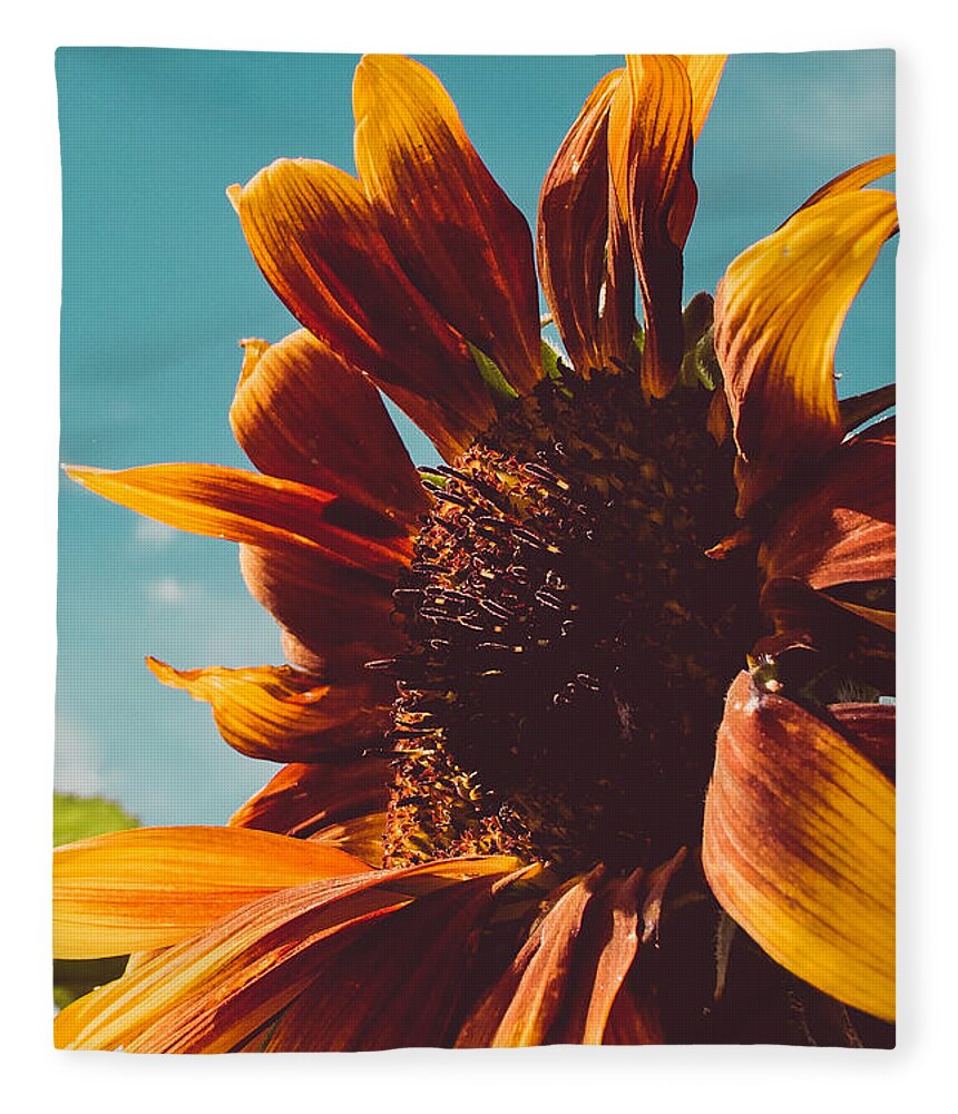 Sunflower Fleece Blanket featuring the photograph Sun Seeker Sunflower by Bonny Puckett