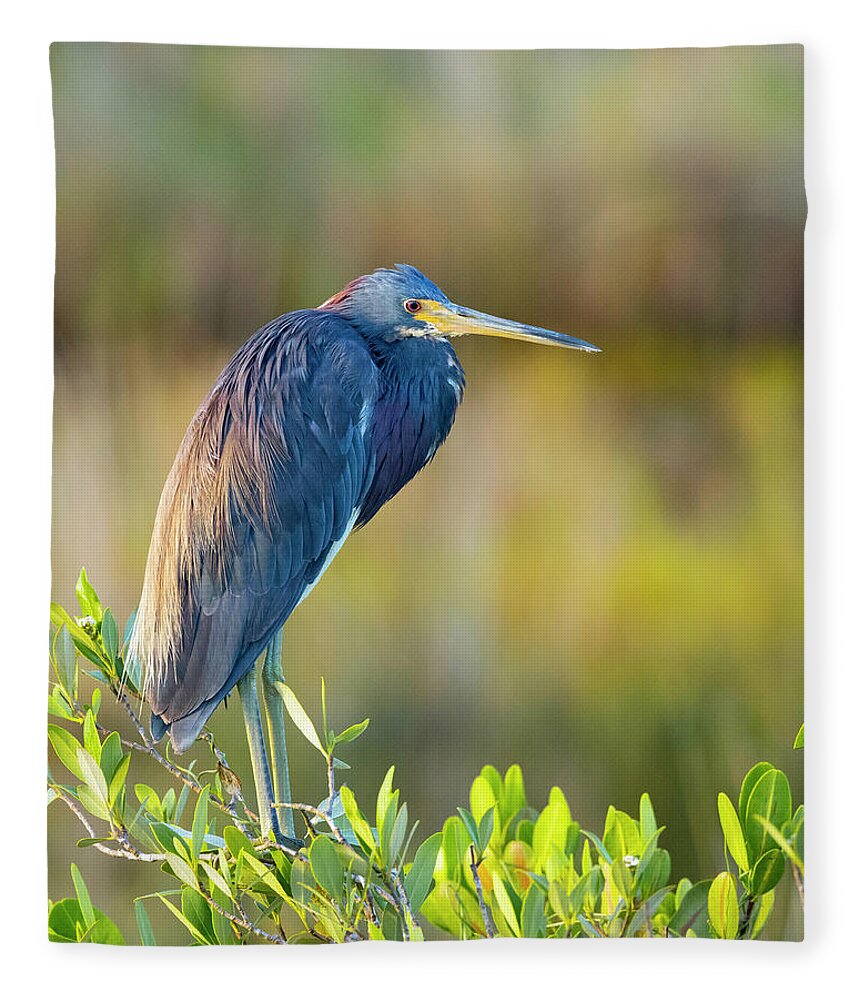R5-2601 Fleece Blanket featuring the photograph Sunday morning scout by Gordon Elwell