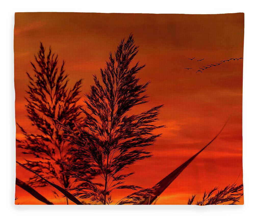 Sunset Fleece Blanket featuring the photograph Sundown by Cathy Kovarik
