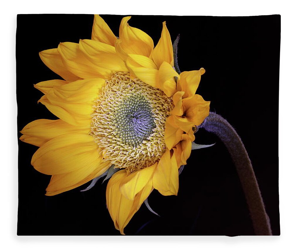 Macro Fleece Blanket featuring the photograph Sunflower 031708 by Julie Powell