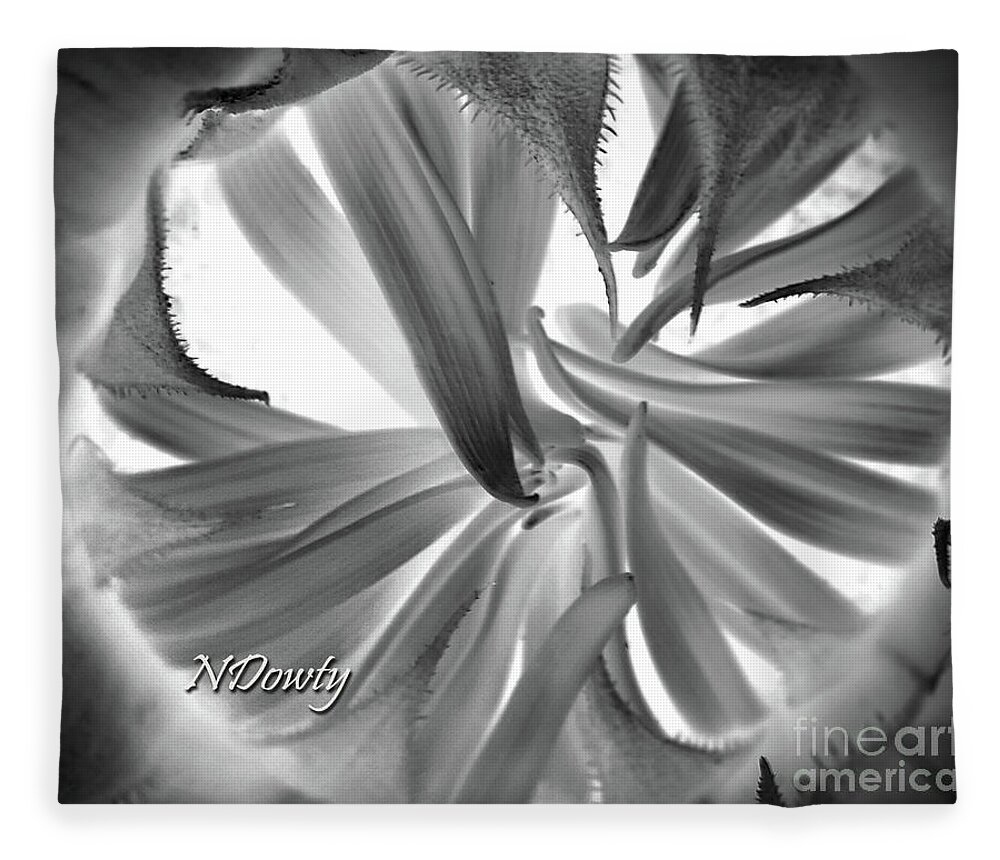 Sunflower Budding Fleece Blanket featuring the photograph Sunflower Budding by Natalie Dowty