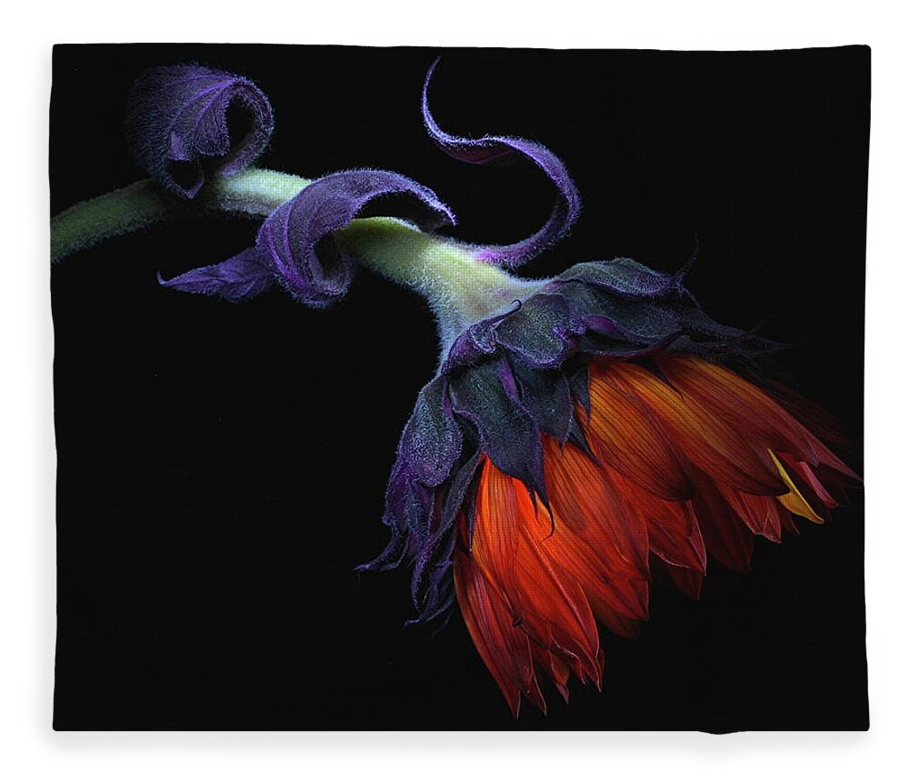 Macro Fleece Blanket featuring the photograph Sunflower Orange by Julie Powell
