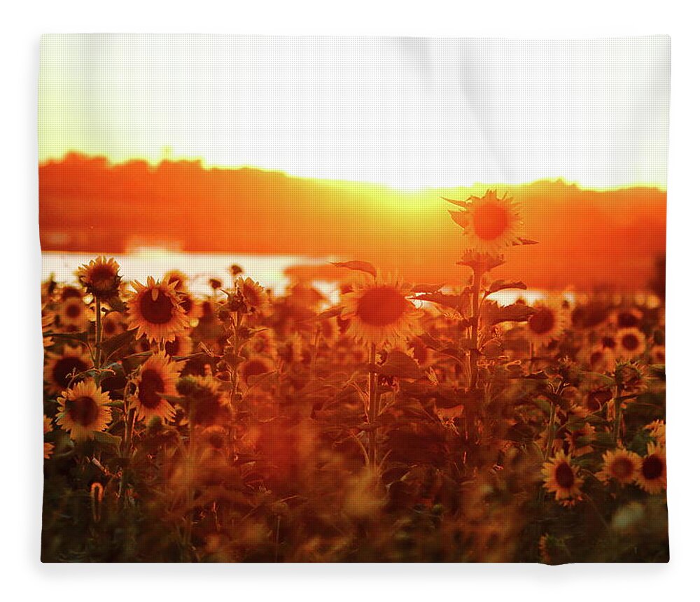 Summer Fleece Blanket featuring the photograph Sunflower Sunset by Lens Art Photography By Larry Trager
