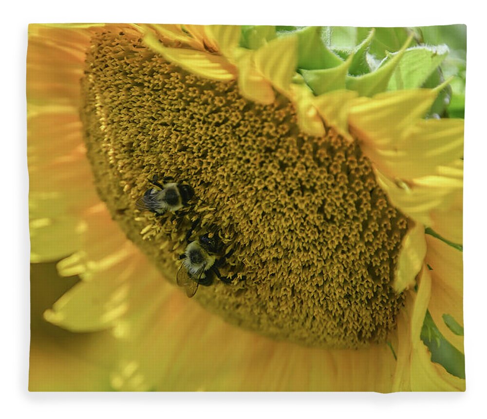 Sunflower Fleece Blanket featuring the photograph Sunflower with 2 bees by Alan Goldberg