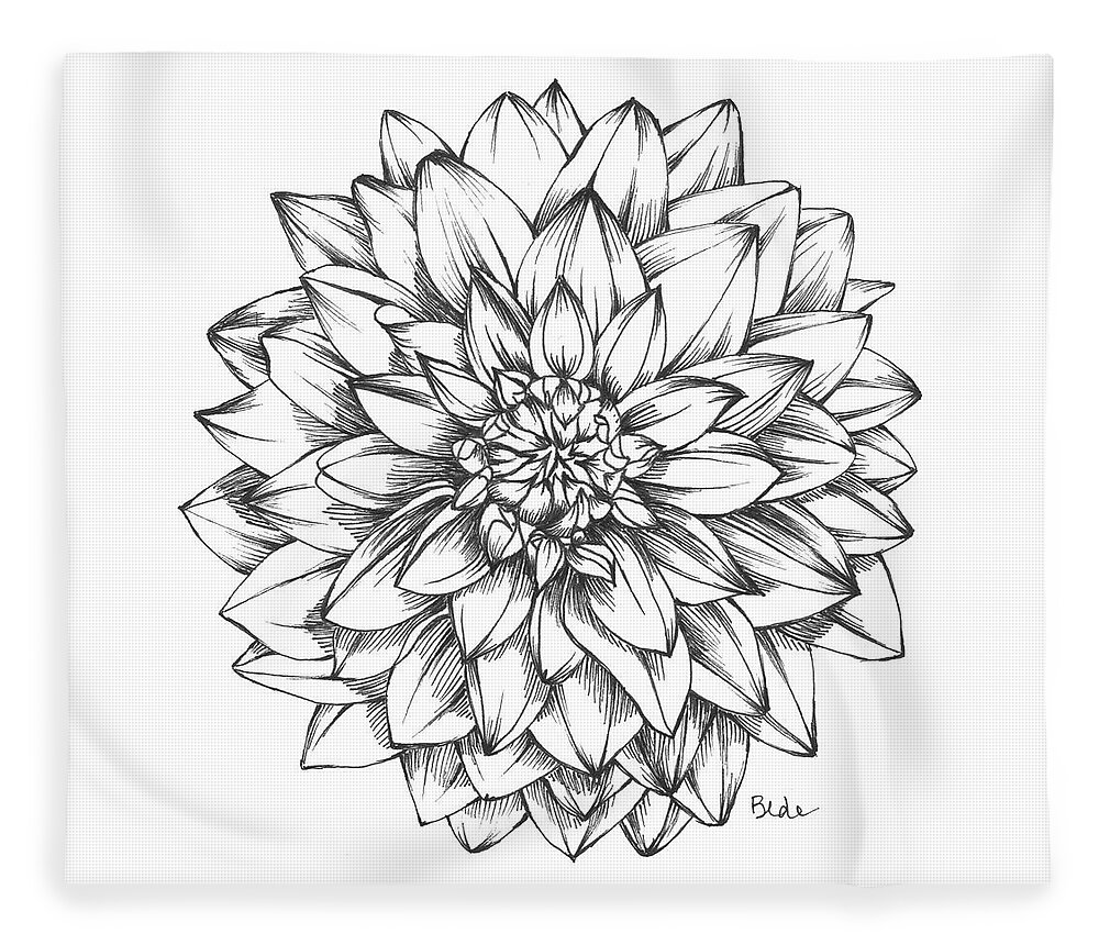 Ink Paper Dahlia Black White Flower Illustration Fleece Blanket featuring the drawing Sunlight and Dahlias by Catherine Bede