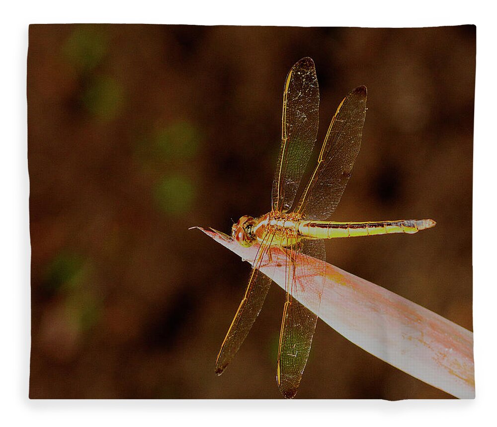 Dragonfly Fleece Blanket featuring the photograph Sunning Dragon by Bill Barber