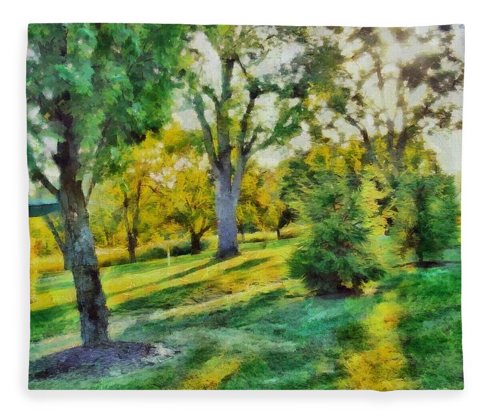 Sunny Fleece Blanket featuring the mixed media Sunny Yard by Christopher Reed