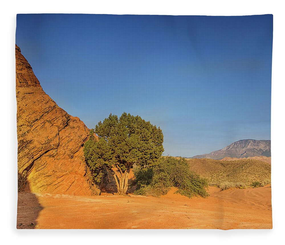 Sand Cove Primitive Camping Area Fleece Blanket featuring the photograph Sunrise at sand cove by Kunal Mehra