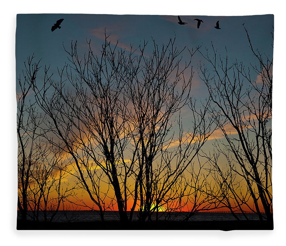 Sunset Fleece Blanket featuring the photograph Sunset Through The Trees by Cathy Kovarik